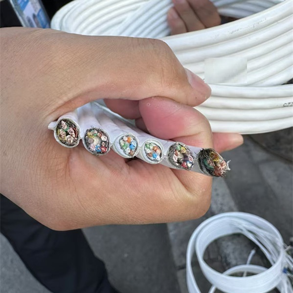 High-Flex Cable for the Toughest Environments - Citabile