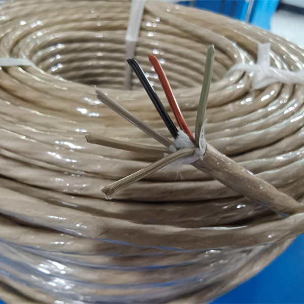12 core Multi-core PEEK Wire Cable - Citabile