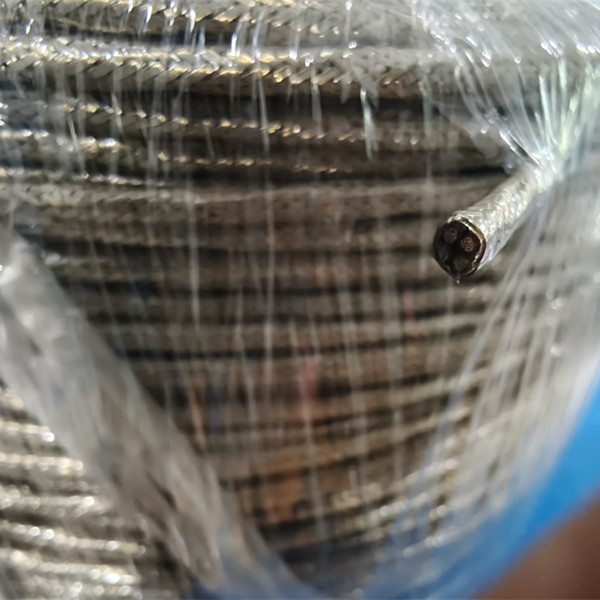 12 core Multi-core PEEK Wire Cable - Citabile